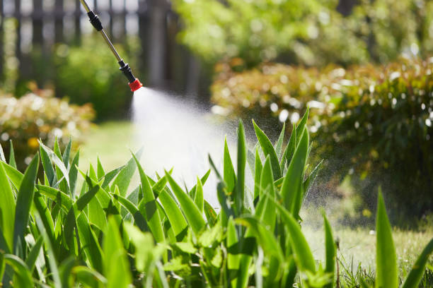 24/7 Emergency Mosquito Control experts in Inman, SC