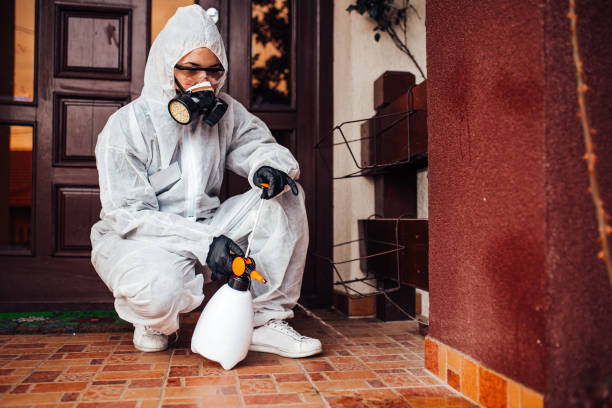Reliable Mosquito Control contractor in Inman, SC by Show Me Pest Control
