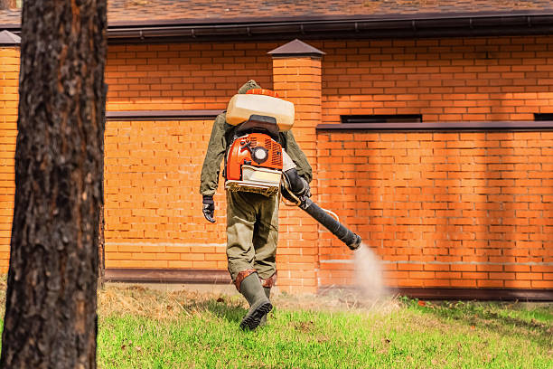 Top rated local Mosquito Control specialists in Inman, SC